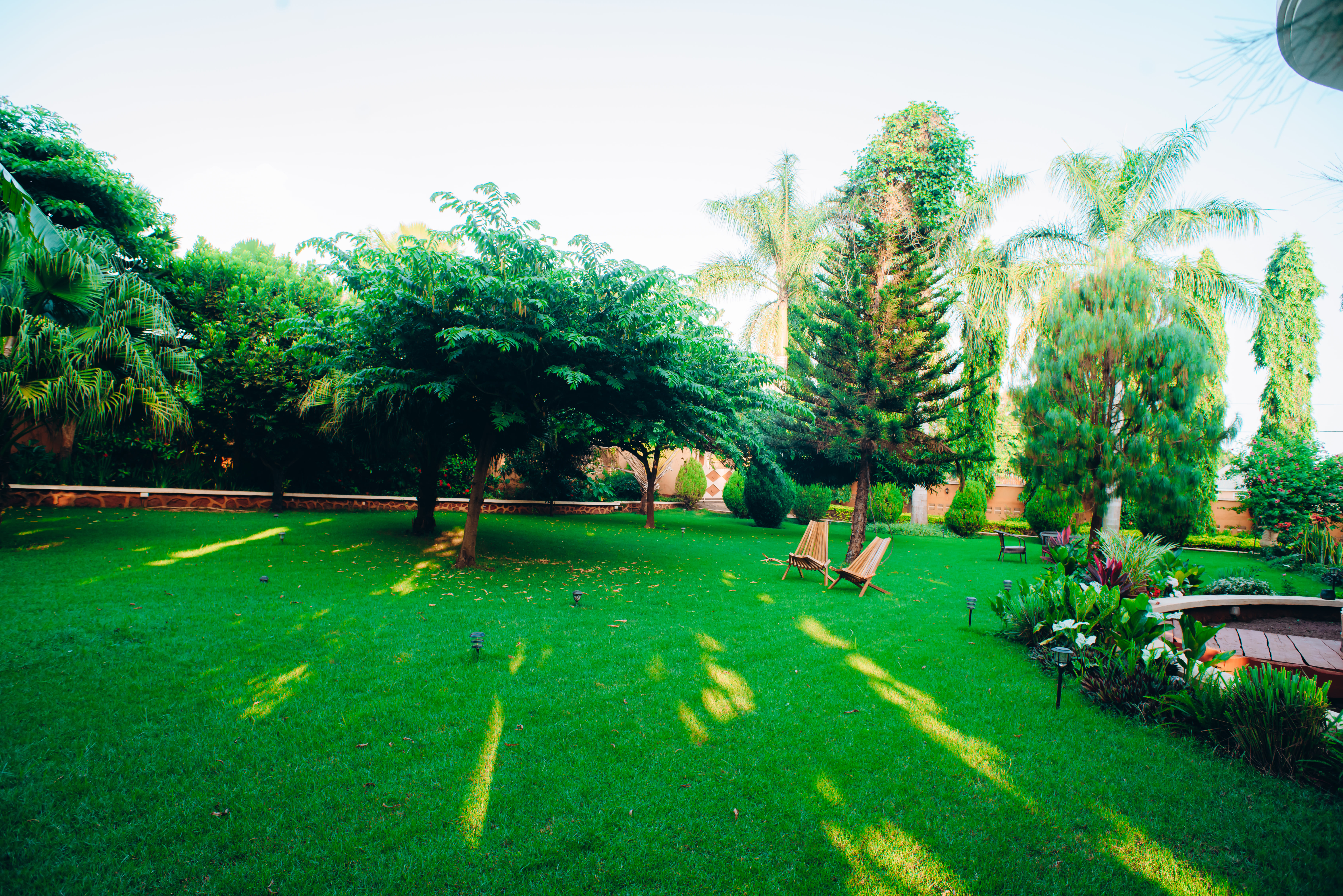 Garden pathway surrounded by greenery