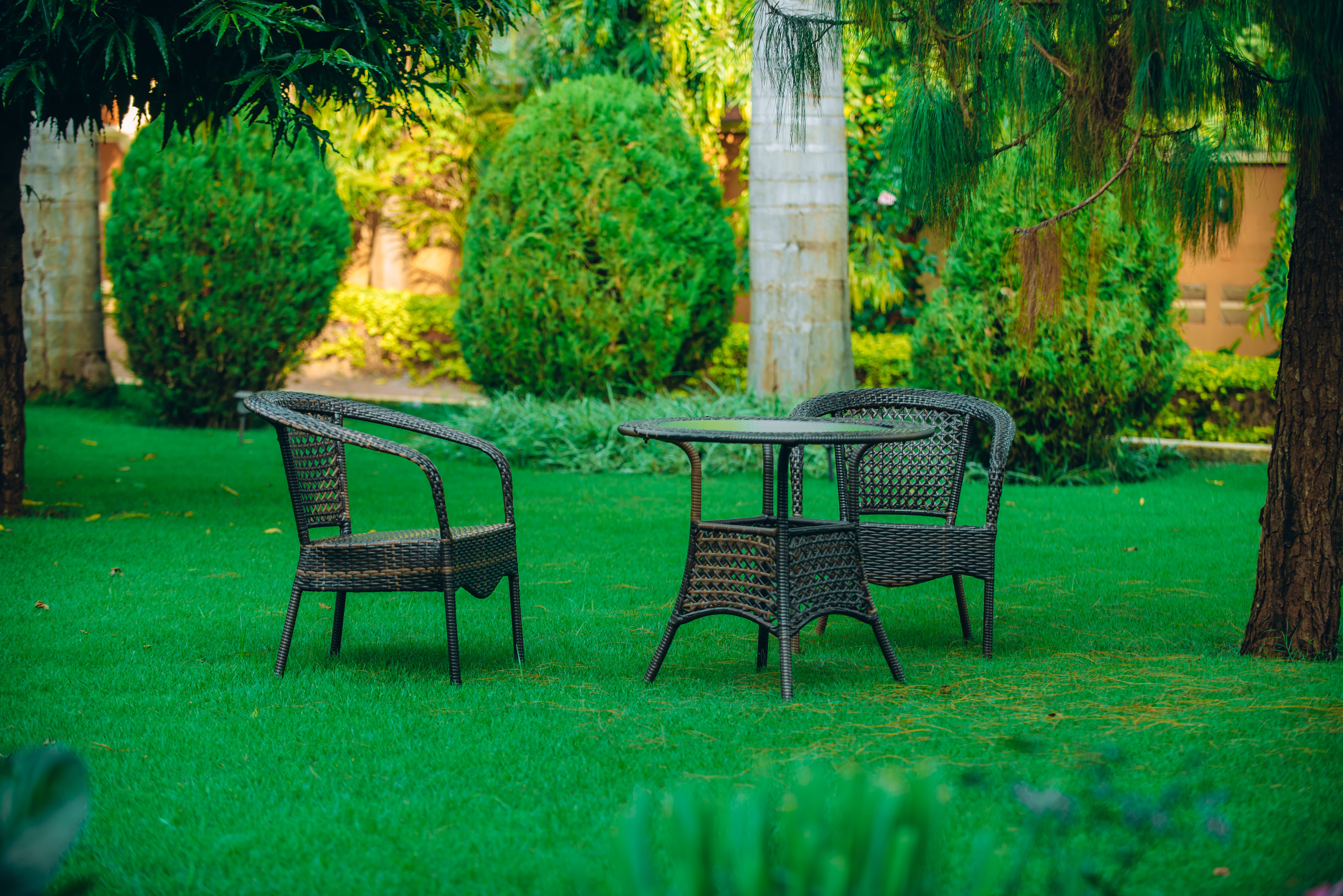 A peaceful sitting area in the garden